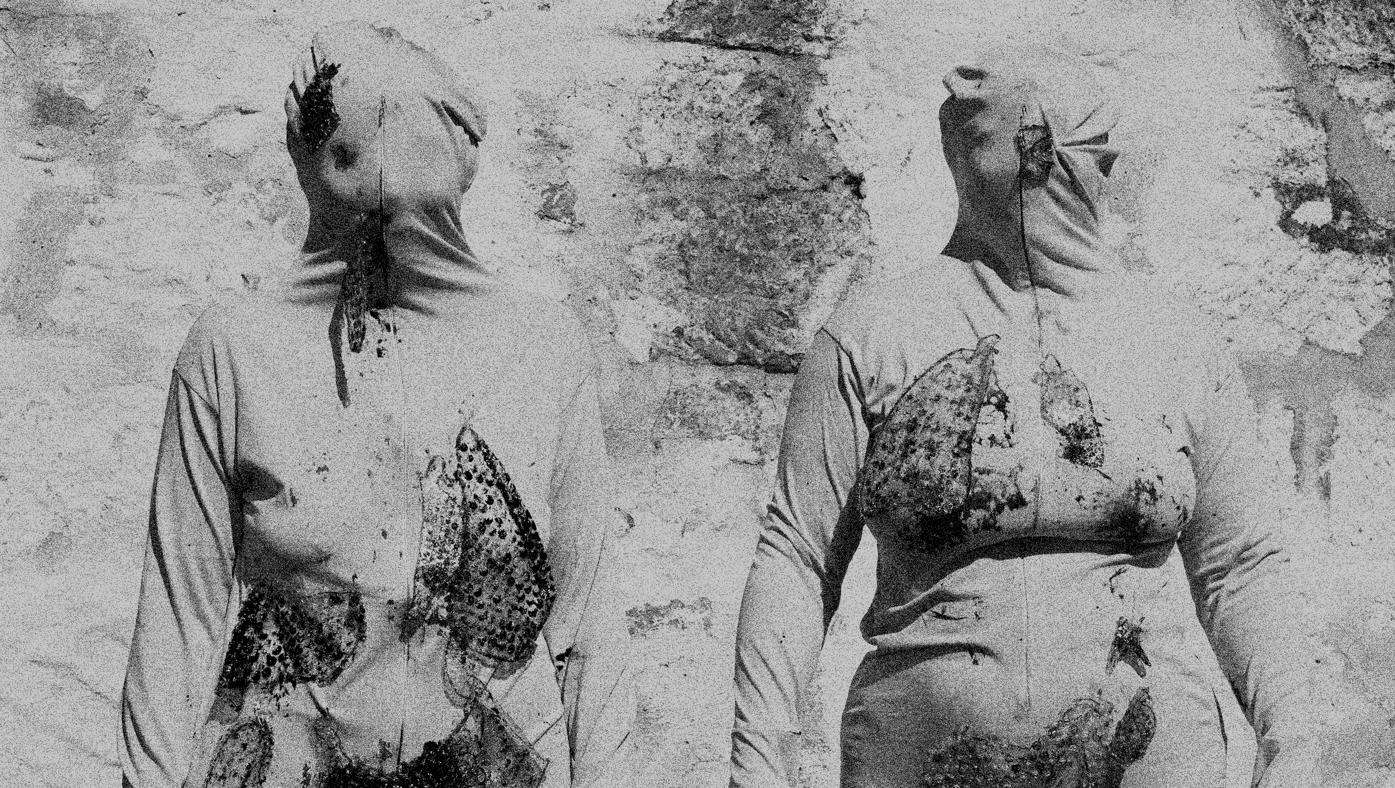  LPA Artist Page Desktop Image