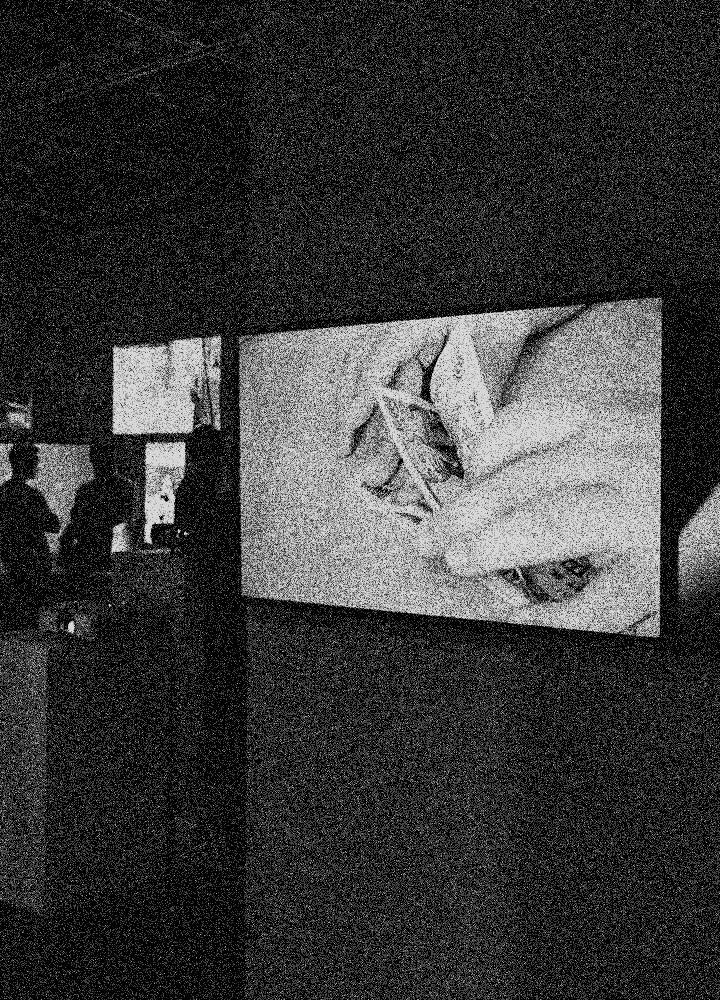 Photons Exhibition Page Mobile Image 1