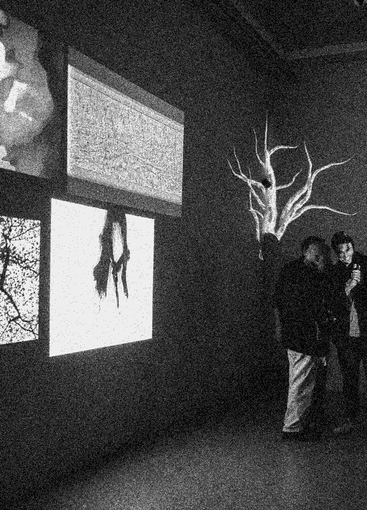 Photons Exhibition Page Mobile Image 3