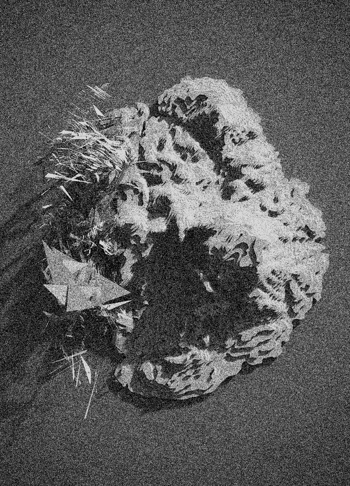  Alex Moss Artist Page Mobile Image